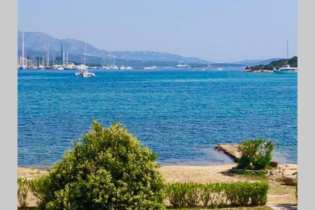 Villa Oleandri Porto Rotondo Exterior photo